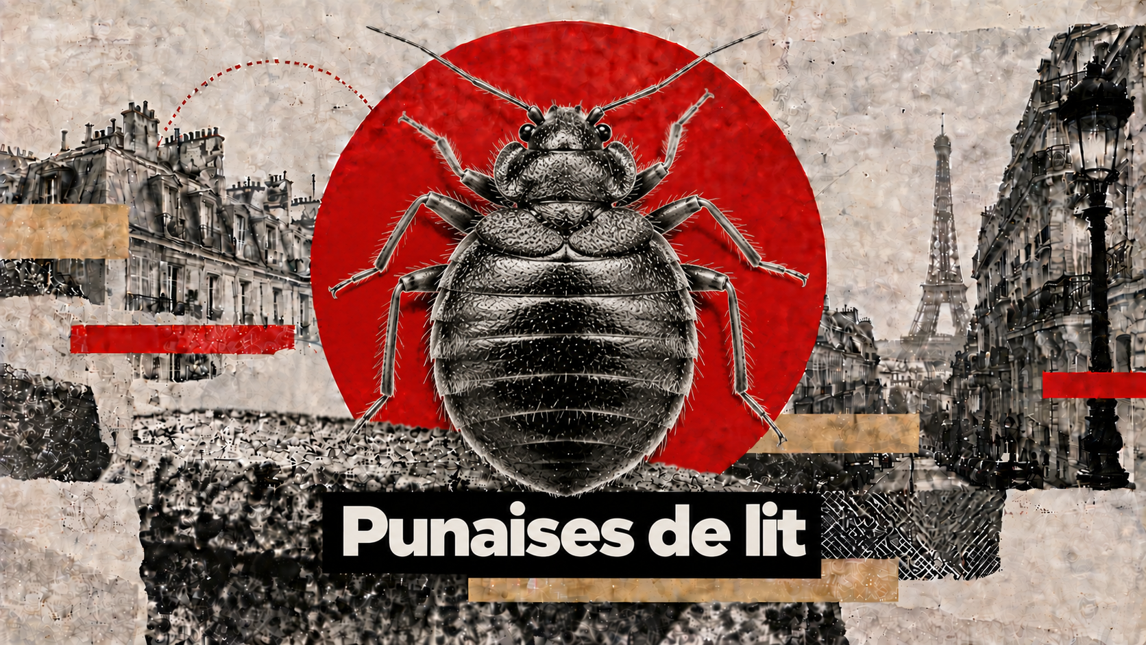 Punaises de lit hôtel - droits et recours