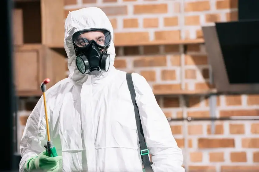 Traitement anti-mites des vêtements dressing Île-de-France - Hamelin Hygiène