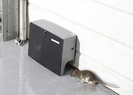 piège à rats électronique